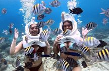 Sea TREK Curaçao: Underwater Helmet Walk, No Swimming Required