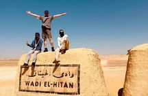 Discover Fayoum Magic Lake & Wadi El Hitan Fossil Adventure