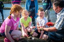 Oyster farm tour & tasting with local expert Clew Bay County Mayo