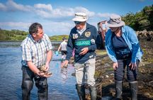Oyster farm tour & tasting with local expert Clew Bay County Mayo