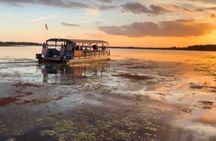 Eco Adventure Scenic Wildlife Boat Cruise