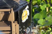 Eco Adventure Scenic Wildlife Boat Cruise