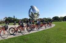 E-Scooter City Tour: Exploring Buenos Aires North & South