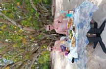 Speedboat 5 Islands Tour with BBQ Lunch at Ile Aux Cerfs