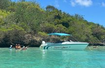 Speedboat 5 Islands Tour with BBQ Lunch at Ile Aux Cerfs