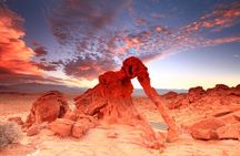 Small Group Valley of Fire Tour + Free Lunch