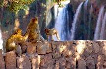  Full Day Guided Tour in Ouzoud Waterfalls 