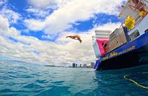 Waikiki Snorkeling & Ocean Waterpark Adventure from Oahu