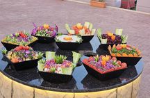 Evening Desert Safari Dubai with Camel Ride & BBQ dinner