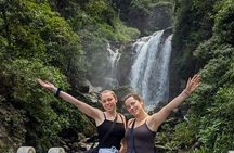 Kandy to Nuwara Eliya Private Day Tour: Tea Factory& Gregory Lake