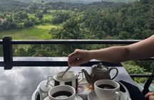 Kandy to Nuwara Eliya Private Day Tour: Tea Factory& Gregory Lake