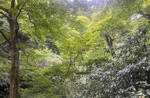 Tokyo’s Mt. Takao Hike