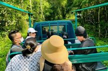 Cat Tien Day Trip from HCMC: Jungle Trek & Wildlife Safari