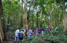 Cat Tien Day Trip from HCMC: Jungle Trek & Wildlife Safari