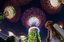 Private Tour: Singapore River Cruise & 2 Top-visit Light shows