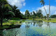 Tour DE l'île DE Tahiti EN car TiTi's Tahiti Tour