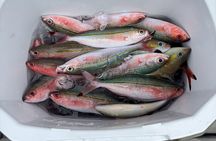 Gurukun Fishing Tour with local fisherman and bilingual guide