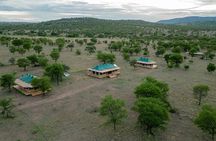 3 Day Serengeti and Ngorongoro Crater Wildlife Safari