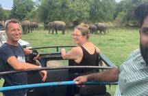 Private Anuradhapura & Wilpattu Safari Day Tour From Dambulla