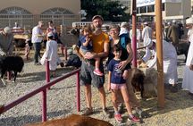 Private Guided Tour Muscat Oman with Pickup