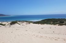 Vejer and Bologna Beach Rate Excursion from Cadiz