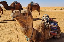 Tataouine & Chenini: Discovery of the Tunisian Desert Ksours