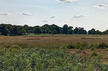 “South London Riverside Ebike Tour – Battersea to Richmond Park”