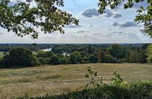 London E Bike Tour Richmond Park Deer and Hidden Gems