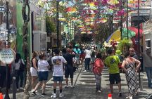 Combo : of Monkeys and Historical City Tour