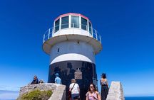 Exclusive Tour to Table Mountain, Penguins & Cape of Good hope