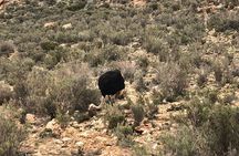 Exclusive Big5 Safari Aquila Game Reserve 