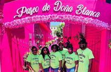 Combo : Damajagua Waterfalls and City Tour with Typical Lunch