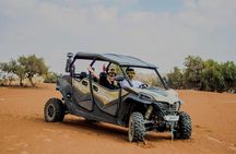 Agadir 4-Seater Buggy Desert Tour – Dunes, Forests Adventure