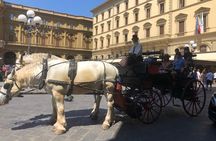 Medieval Carriage Ride with Horses and Local Tour Guide