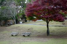 Kyoto, Osaka and Nara Customized Private Car tour