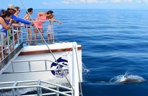 Snorkeling and Sunset Catamaran Cruise from Tamarindo