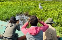 1 Day Best Mabamba Swamp Shoebill Birding Tour, Lake Victoria