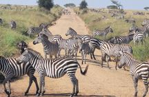 5-Days Tanzania Safari and Cultural Adventure
