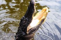 Private New Orleans Airboat Adventure