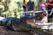 New Orleans Premium Six-Passenger Airboat Adventure
