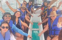 Whale Watching Tour with Arch and Beach in Cabo San Lucas
