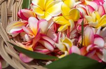 Hawaiian Culture Experience on Big Island