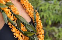 Hawaiian Culture Experience on Big Island