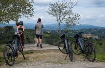 Full-Day Tuscany and Chianti Hills Bike Tour With Lunch at Farm