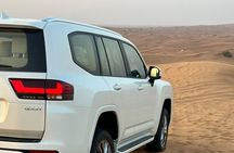 Evening Desert Safari Adventure in the Arabian Desert