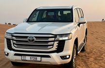 Evening Desert Safari Adventure in the Arabian Desert