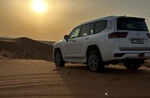 Morning Desert Safari with Private Transfers