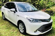 Sri Lanka Multi Day tour Car Rent by English Driver-Guide