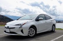 Sri Lanka Multi Day tour Car Rent by English Driver-Guide