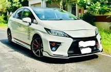 Sri Lanka Multi Day tour Car Rent by English Driver-Guide